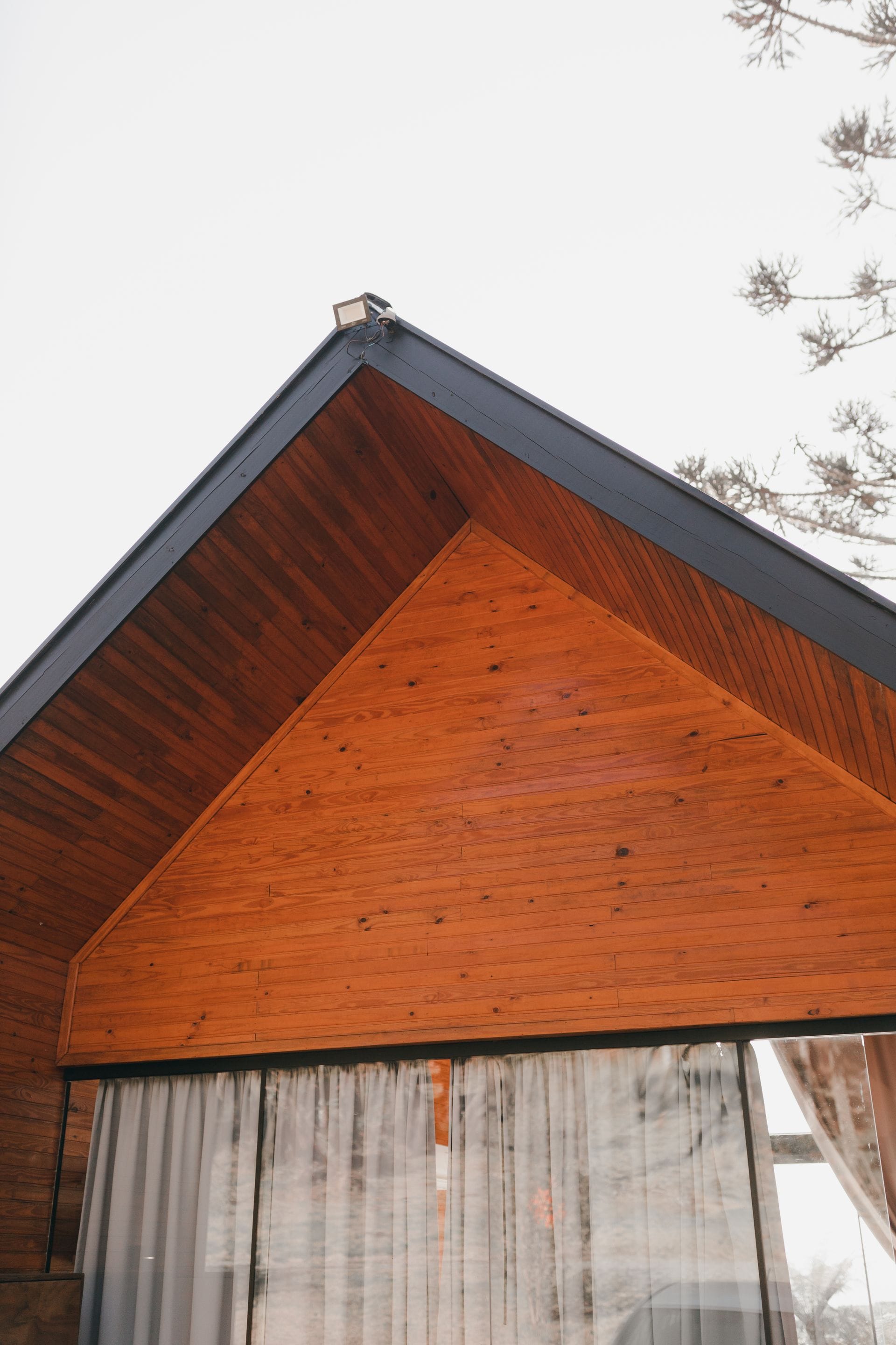 Timber-framed garden room with larch cladding