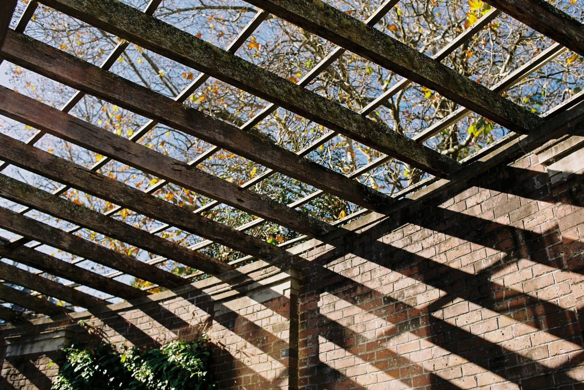 Larch-clad timber garden room with glazed oak doors